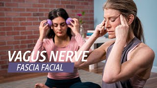 Fascia Facial Massage for Relaxation [upl. by Gnav647]