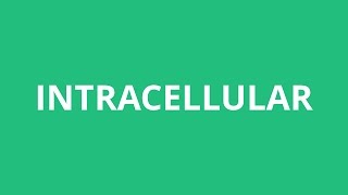 How To Pronounce Intracellular  Pronunciation Academy [upl. by Cima215]