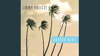 Jimmy Buffett quotTreetop Flyerquot [upl. by Acimad852]