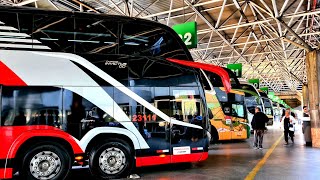 GIGANTES do Tietê Belíssimos ônibus em São Paulo [upl. by Doria]