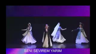 TABRIZ MIXSENI SEVREM YARIM 2023 [upl. by Dafodil]