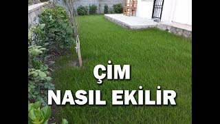 En kolay çim ekimi nasıl yapılır çim nasıl ekilir [upl. by Peregrine268]