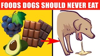 Dangerous Foods Your Dog Should Never Eat [upl. by Antonia904]