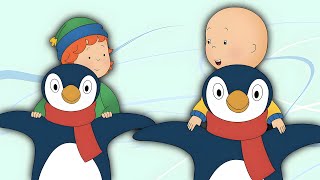 Caillou Learns to Ice Skate  Caillous New Adventures [upl. by Ademordna]