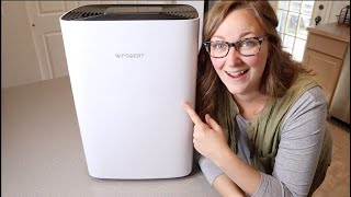 Dehumidifier Review  for Basement Wpsoert 80 Pints Dehumidifiers for Home Large Room [upl. by Erret]