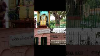 Guru Purnima 2024 Cossipore Udyanbati shorts short viral youtubeshorts trending travel love [upl. by Atsuj]