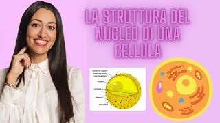 LA STRUTTURA DEL NUCLEO  CELLULA EUCARIOTE [upl. by Nathan]