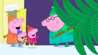 Getting Ready for Christmas 🎄 Peppa Pig Full Episodes 🎄 Peppa Pig at Christmas [upl. by Nahtanha]