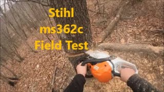 Stihl ms362c Chainsaw Cutting Firewood My Honest Opinion About the Chainsaw [upl. by Prue]