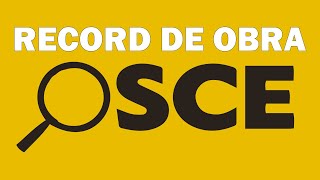 ¿Cómo hacer el RECORD DE OBRA 2020 – OSCE [upl. by Migeon]