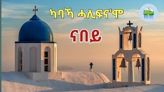 ካባኻ ሓሊፍና ሞ ናበይ ክንከይድ ኢና Yohannes solomon  Eritrean Orthodox Tewahdo sbket [upl. by Anetsirk]