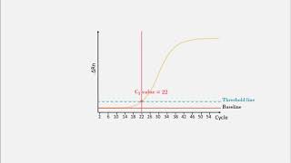 Realtime polymerase chain reaction realtime PCR qPCR  PPT Animation [upl. by Adnauqal529]