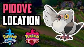 How to Catch Pidove  Pokemon Sword amp Shield [upl. by Anelis]