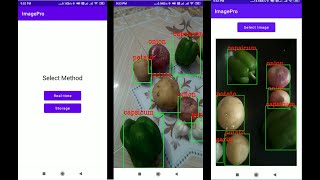 Custom Object Detection Android App Using TensorFlow LiteGPU and OpenCV Sample 1  Vegetables [upl. by Azer]