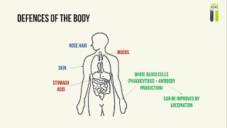 IGCSE Biology Revision  Part 12  Pathogens Transmissible Diseases amp Preventing Its Spread [upl. by Ewnihc423]