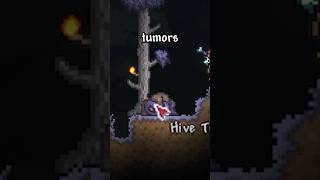 Terraria Calamity Bosses Explained The Hive Mind terraria shorts [upl. by O'Driscoll]