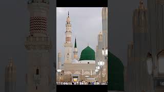 Ya Rabba Alaminallah hu allah viralvideo sorts music love [upl. by Lorrie]