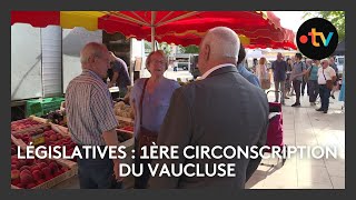 Législatives 2024  la 1ère circonscription du Vaucluse [upl. by Tavis998]