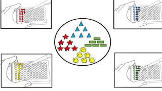 ELISA vs Mass Spectrometry  testing for Mycotoxins [upl. by Warms961]