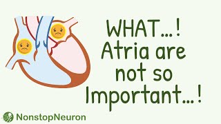 Why Atria are NOT SO IMPORTANT for Pumping Blood [upl. by Koral]