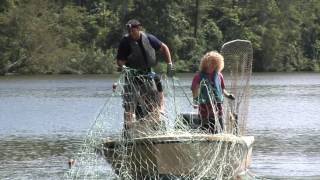 The Search for Sturgeon A Prehistoric and Endangered Fish [upl. by Edvard]