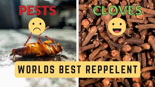 Cloves Your Natural Pest Repellent  Heres How to Use Them Effectively [upl. by Ahsakat]