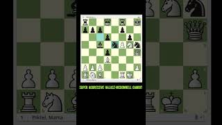 ⚡​​⚡⚡SUPER AGGRESSIVE HALASZMCDONNELL GAMBIT ajedrez xadrez catur scacchi chess schach [upl. by Teri]