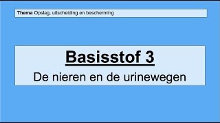 VMBO 4  Opslag uitscheiding en bescherming  Basisstof 3 De nieren en urinewegen [upl. by Ahsatam4]