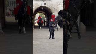 Best horsesroyalhorseguard horse tourist london viralvideo royalguards shorts [upl. by Ellennej]