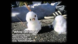 quotWhite Christmasquot  EN Cover [upl. by Jeannine]