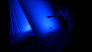 Mothing 203 Blacklighting [upl. by Atteiram]