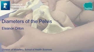 Diameters of the Pelvis [upl. by Anaillil]