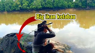 mancing ikan kelabau dan ikan tawes di sungai besar lamandau kalteng  joran melengkung ke belakang [upl. by Coumas]