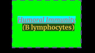 HUMORAL IMMUNITY B LYMPHOCYTES [upl. by Neron636]