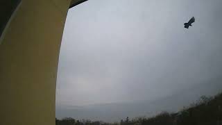 Nimbostratus clouds followed by the Altostratus clouds  Timelapse 19 December 2022 [upl. by Uzial]