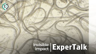 Invisible Impact  ExperTalk [upl. by Xuerd]