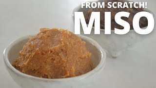 How to make ★Homemade MISO★from scratch～みその作り方～（EP79） [upl. by Solorac]