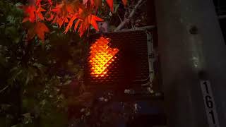 Dialight pedestrian light amp old chirp audio Mission Blvd amp Pine St [upl. by Franciscka]