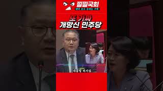 국회에서 민주당 가짜뉴스 또 걸려 개망신 가짜뉴스 박지혜 민주당박지혜 [upl. by Selegna]