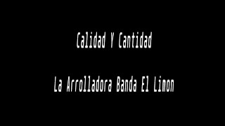 Karaoke  Calidad Y Cantidad  La Arrolladora Banda El Limon [upl. by Hoeve482]