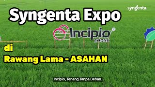 SYNGENTA EXPO  LAUNCHING PRODUK INCIPIO 200 SC [upl. by Myrta401]