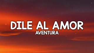 Aventura  Dile Al Amor LetraLyrics [upl. by Nosbig]