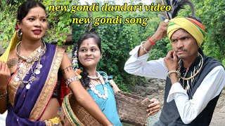 new gondi dandari videos palsi b 2024 [upl. by Philina]