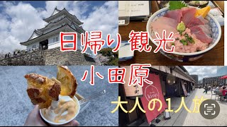 【日帰り小田原の旅】小田原城・ミナカ小田原・小田原漁港・海への扉〜観光、城巡り、神社巡り、絶品グルメ〜魅力たっぷり城下町を楽しむ大人の一人旅 Trip to ODAWARA JapanVlog [upl. by Denys302]