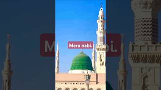 Mera nobimuslim islamicsong madina lovemadeena [upl. by Aridan]