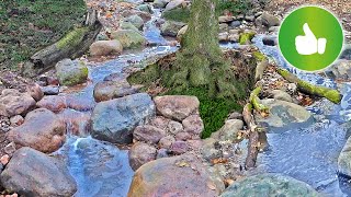 110FOOT Pondless WATERFALL and Stream  REVEAL [upl. by Lebisor]