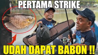 UCOK BABA SUDAH SETENGAH TAHUN KEMBALI STRIKE [upl. by Lemuela]