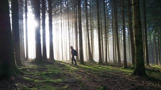 Metal detecting quotArdennes Forest SPECIALquot 25 [upl. by Alexandria]