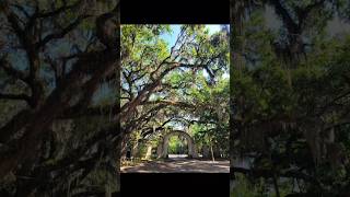 Wormsloe State Historic Site in Savannah [upl. by Ydnec96]