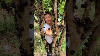 Jaboticaba Fruit Fram amp Cutting so Fresh  Have You tried Jaboticaba fruit shorts youtubeshorts [upl. by Anneliese]